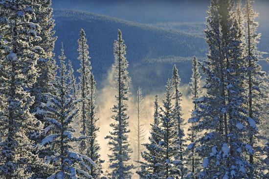 Premium Photographic Print, , large