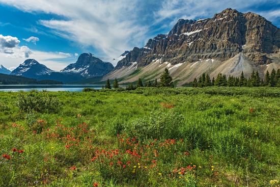 Premium Photographic Print, , large