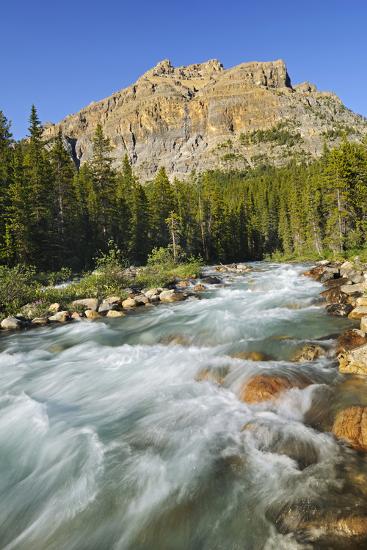 Premium Photographic Print, , large