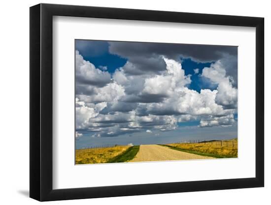 Premium Photographic Print, , large