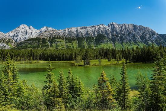 Premium Photographic Print, , large