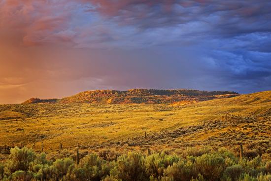 Premium Photographic Print, , large