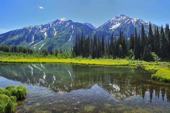 Premium Photographic Print, , large