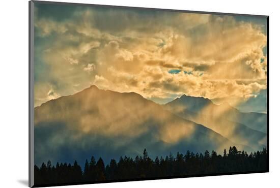 Photographic Print, , large