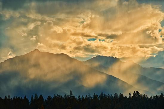 Premium Photographic Print, , large