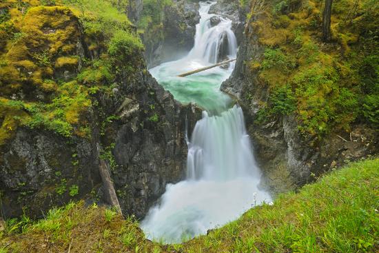 Premium Photographic Print, , large