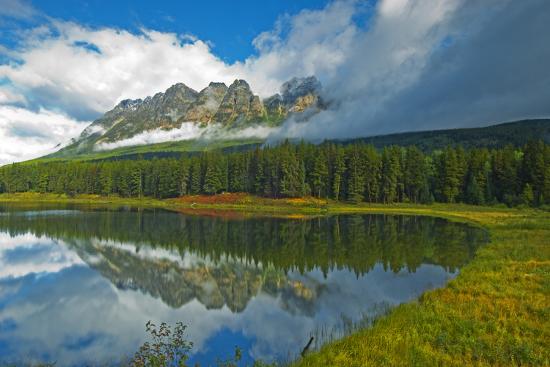 Premium Photographic Print, , large