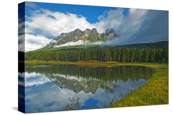 Stretched Canvas Print, , large
