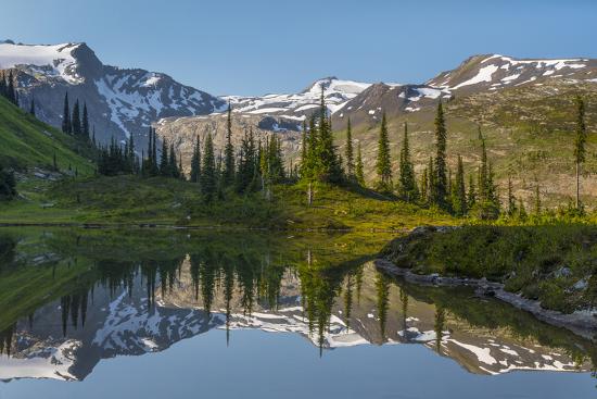 Premium Photographic Print, , large