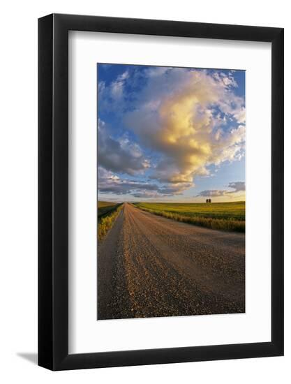 Photographic Print, , large