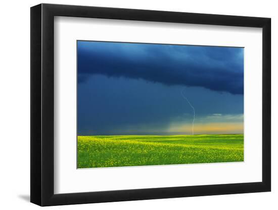Photographic Print, , large