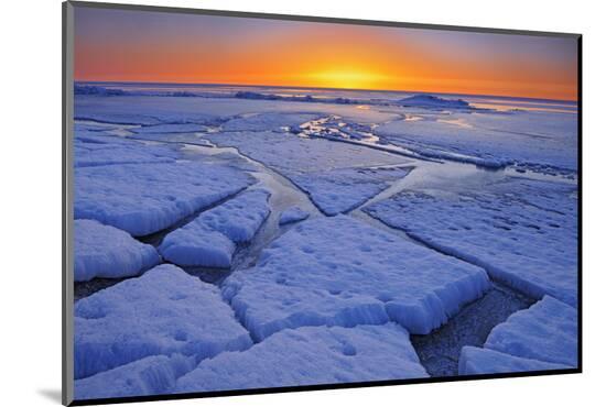 Photographic Print, , large