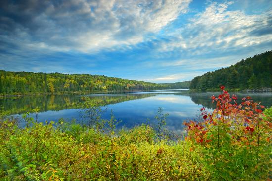 Premium Photographic Print, , large