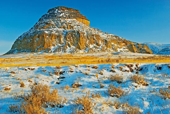 Premium Photographic Print, , large