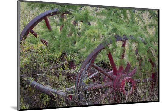 Photographic Print, , large
