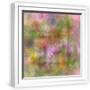 White Frame
