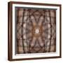 Brown Frame