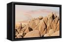 Canvas Black