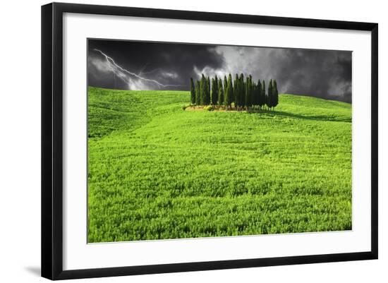 Premium Photographic Print, , large