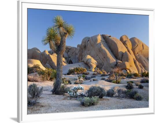 Framed Photographic Print, , large