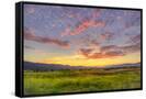 Canvas Black