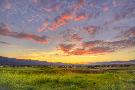 Just the Print