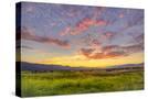 Stretched Canvas