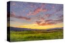 Stretched Canvas