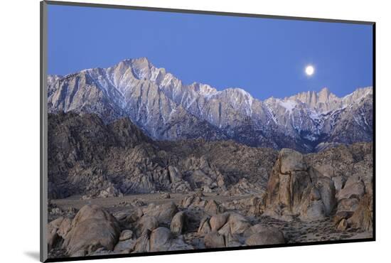 Photographic Print, , large