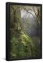 Essential Black