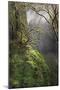 Wood Mount