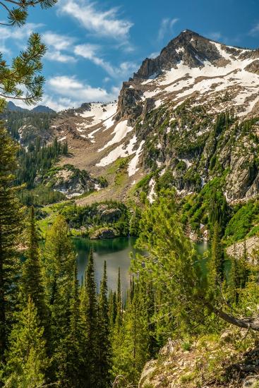 Premium Photographic Print, , large