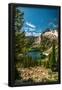 Essential Black