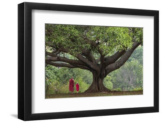 Premium Photographic Print, , large