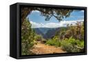 Canvas Black
