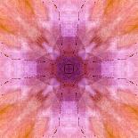 Pink, orange and green floral montage abstract.-Jaynes Gallery-Photographic Print