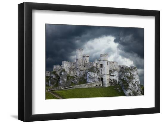 Premium Photographic Print, , large