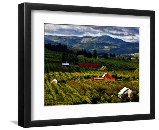 Premium Photographic Print, , large
