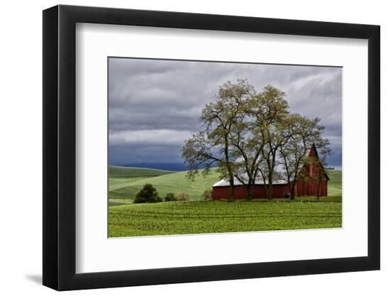 Premium Photographic Print, , large