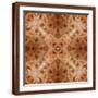 Brown Frame