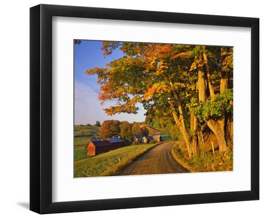 Premium Photographic Print, , large