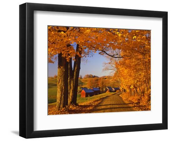 Premium Photographic Print, , large