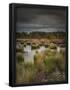 Essential Black