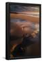 Essential Black