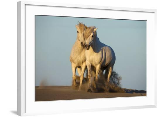 Framed Photographic Print, , large