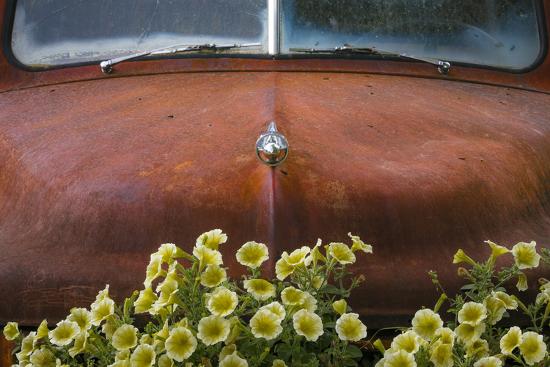 Premium Photographic Print, , large