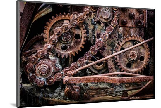 Photographic Print, , large