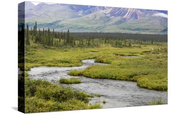 Stretched Canvas Print, , large