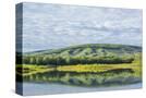 Stretched Canvas