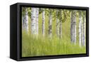 Canvas Black